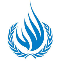 Observaciones preliminares del Grupo de Trabajo sobre las Desapariciones Forzadas o Involuntarias de la ONU